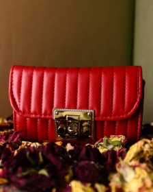 حقيبة يد ~ جلد (bag-0013)