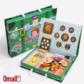 حقيبة دورة الحياة